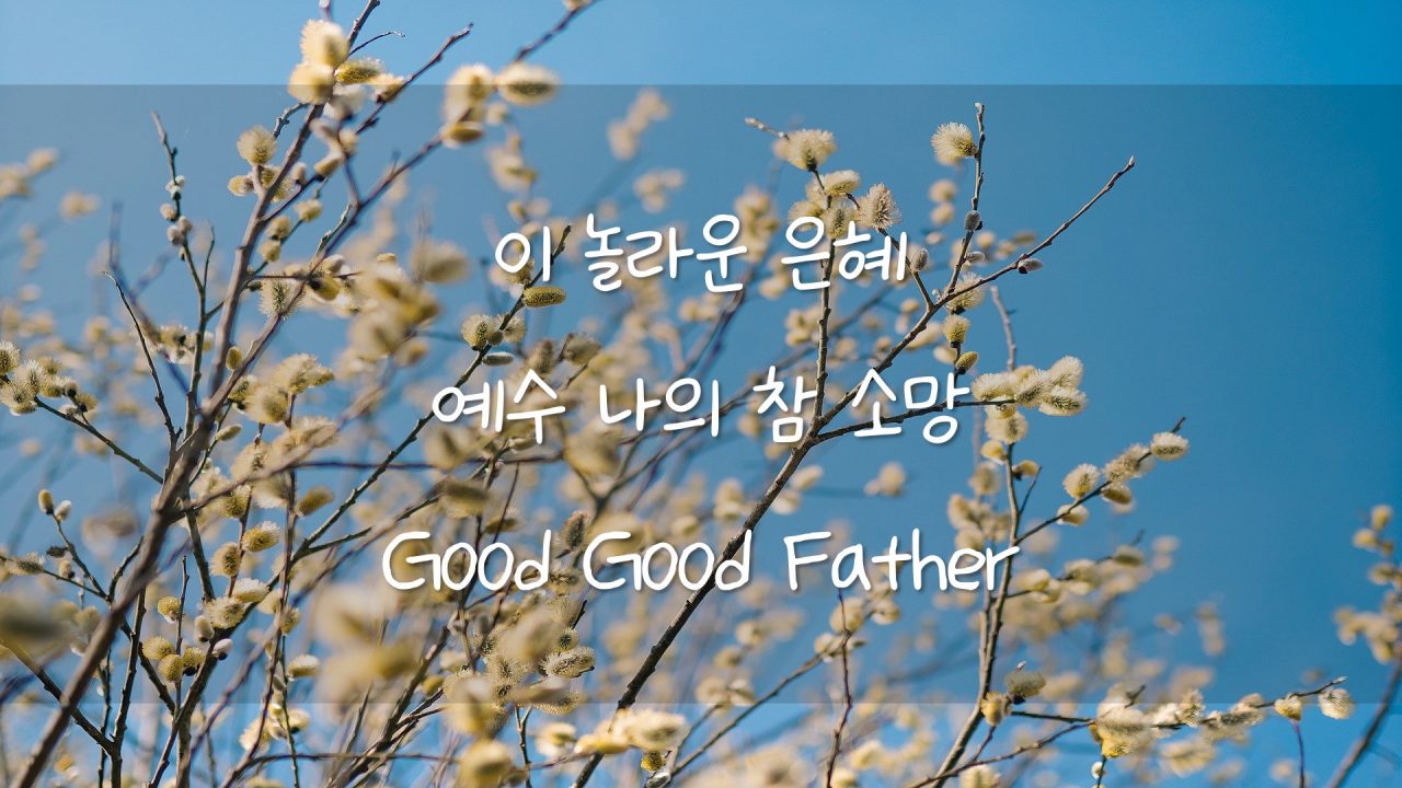 221119 NCM 청년컨퍼런스 오후 찬양 – 이 놀라운 은혜, 예수 나의 산 소망, Good Good Father
